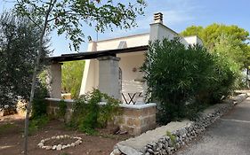 Casette Masseria La Camardia